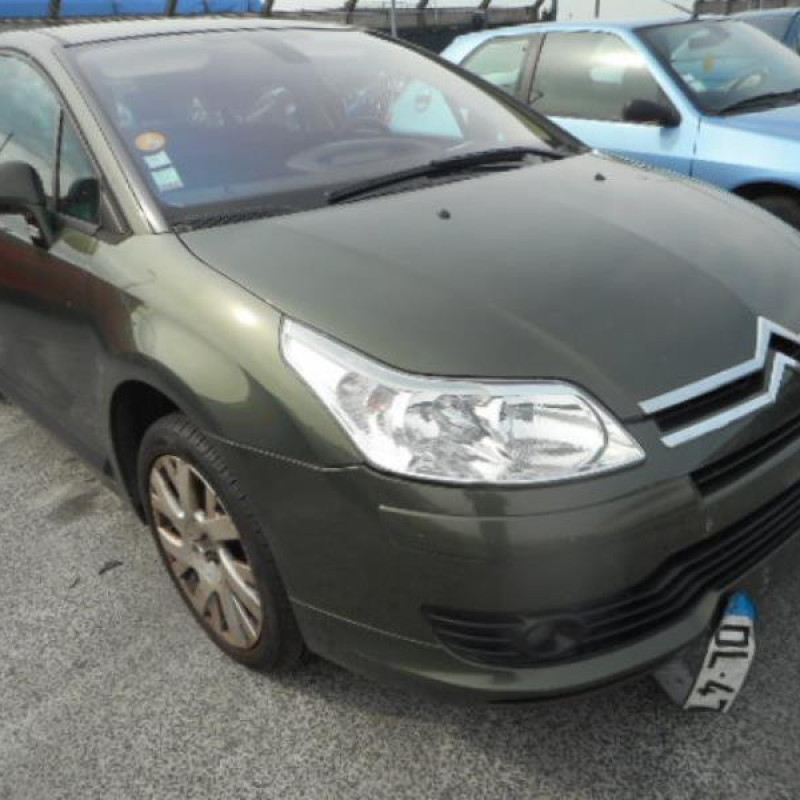 Pulseur d'air CITROEN C4 1 Photo n°4