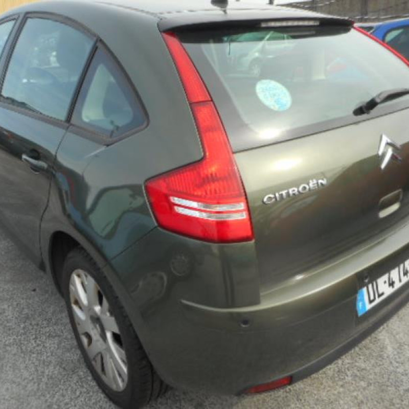 Pulseur d'air CITROEN C4 1 Photo n°6
