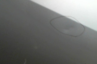 Porte avant droit NISSAN ALMERA TINO