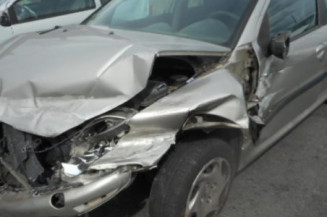 Porte arriere gauche PEUGEOT 206