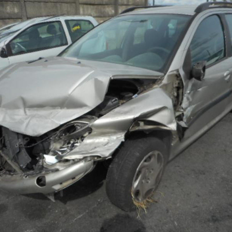 Porte arriere gauche PEUGEOT 206 Photo n°3