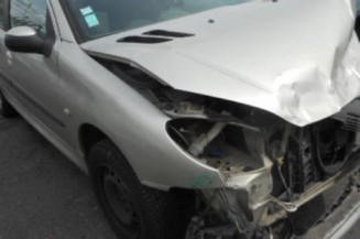 Porte arriere gauche PEUGEOT 206