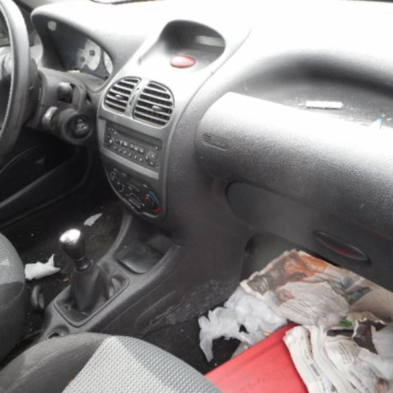 Porte arriere gauche PEUGEOT 206 Photo n°7