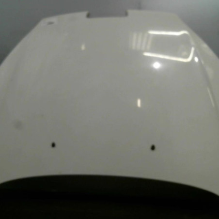 Capot PEUGEOT 407 Photo n°1
