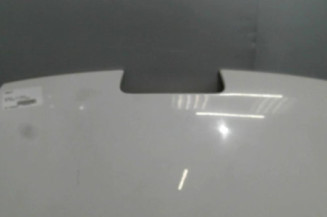 Capot PEUGEOT 407