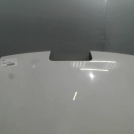 Capot PEUGEOT 407