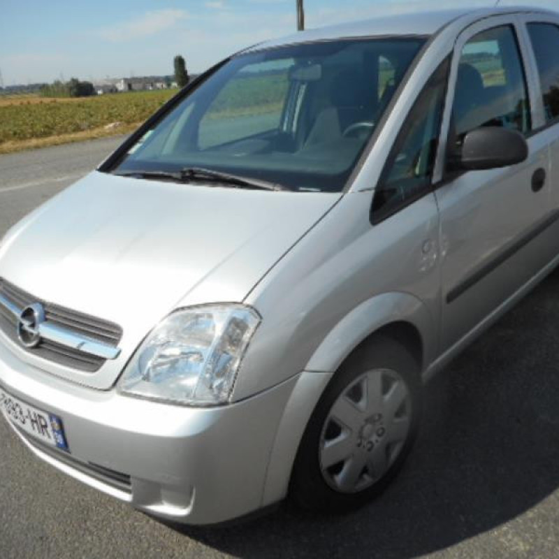 Porte arriere droit OPEL MERIVA A Photo n°3