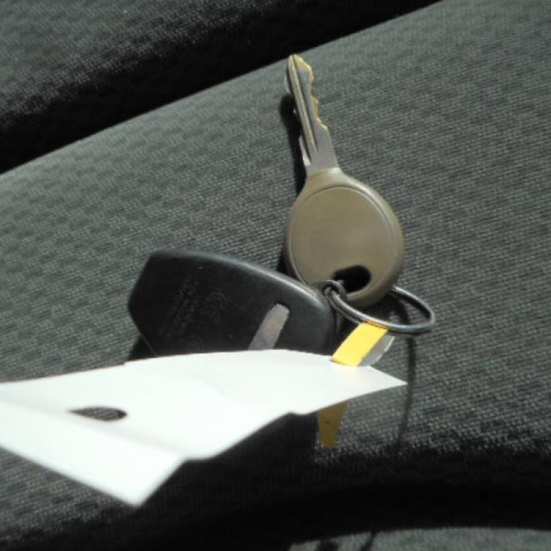 Porte avant gauche CHRYSLER VOYAGER 4 Photo n°7