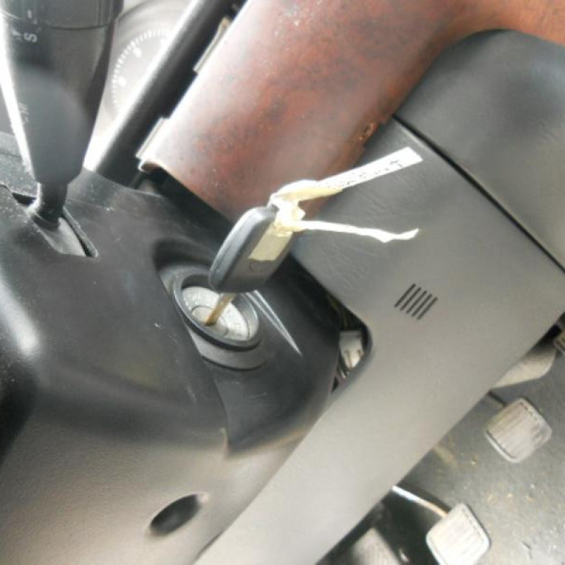 Porte arriere droit DAEWOO MUSSO Photo n°9