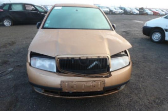 Porte arriere gauche SKODA FABIA 1
