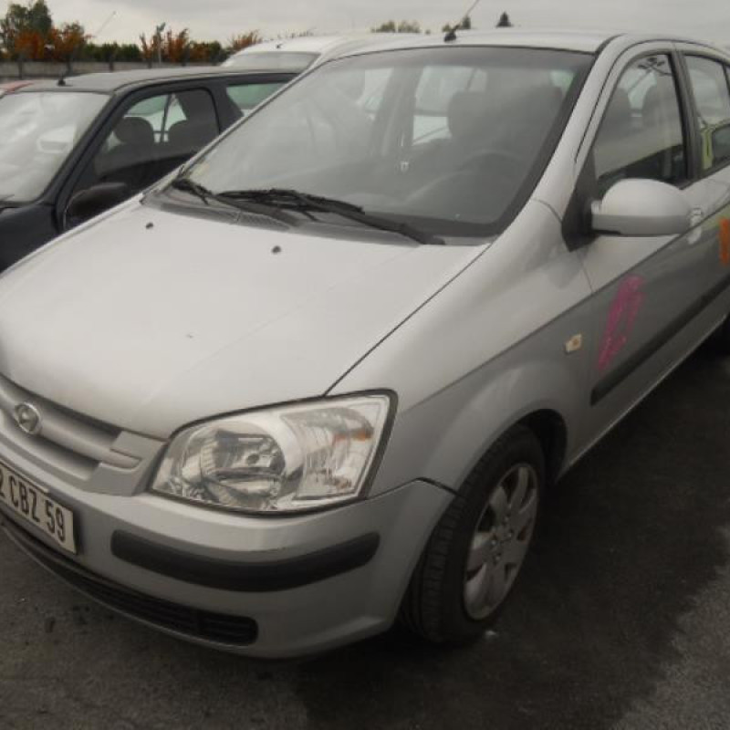 Porte arriere gauche HYUNDAI GETZ Photo n°3