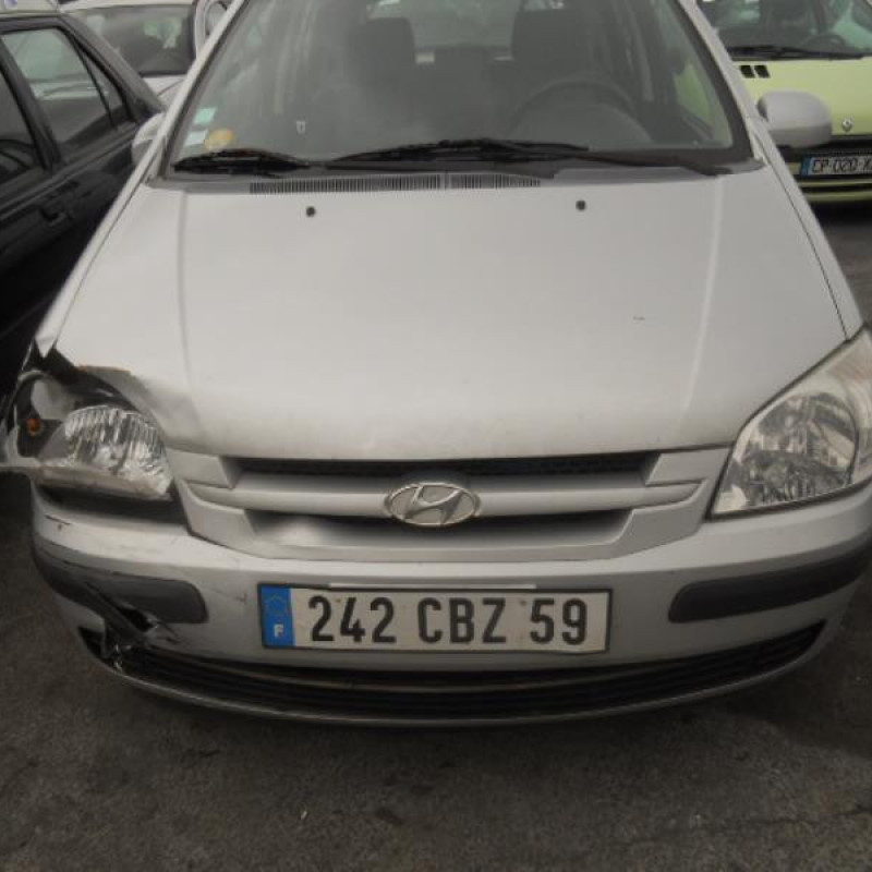 Porte arriere gauche HYUNDAI GETZ Photo n°4