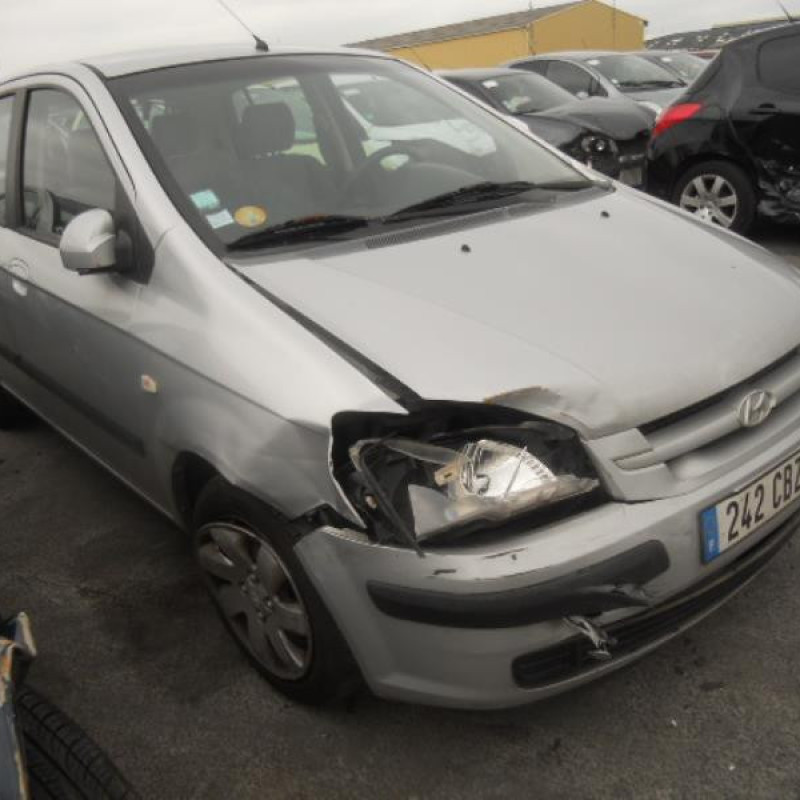 Porte arriere gauche HYUNDAI GETZ Photo n°5