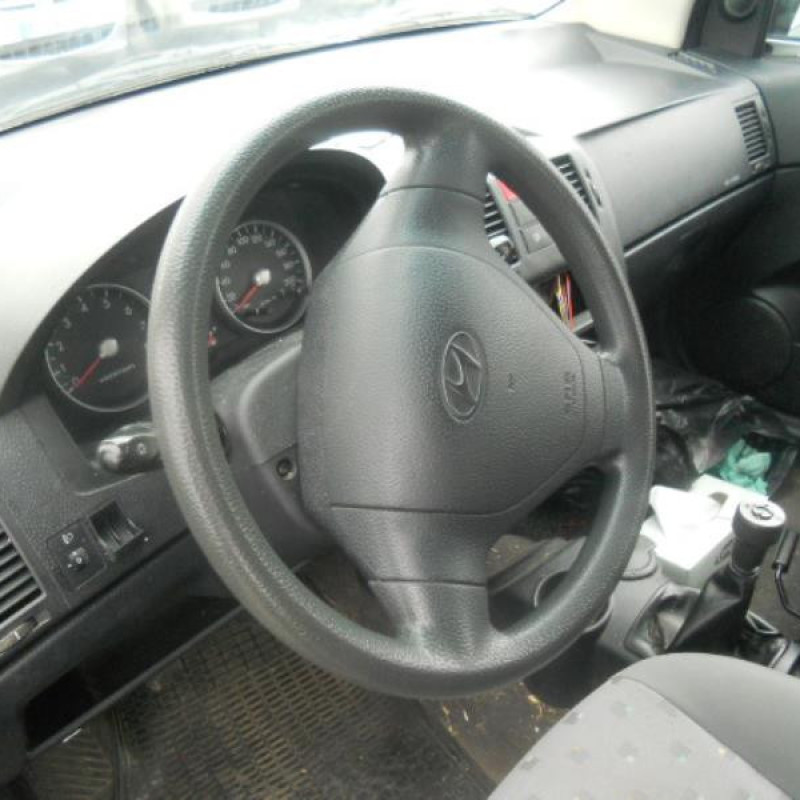 Porte arriere gauche HYUNDAI GETZ Photo n°8