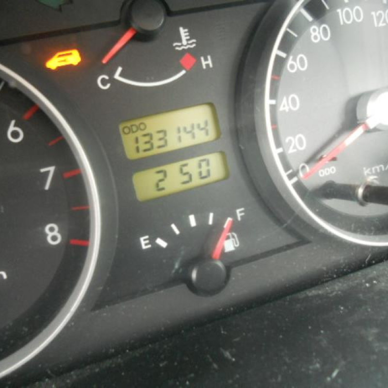 Porte arriere gauche HYUNDAI GETZ Photo n°11