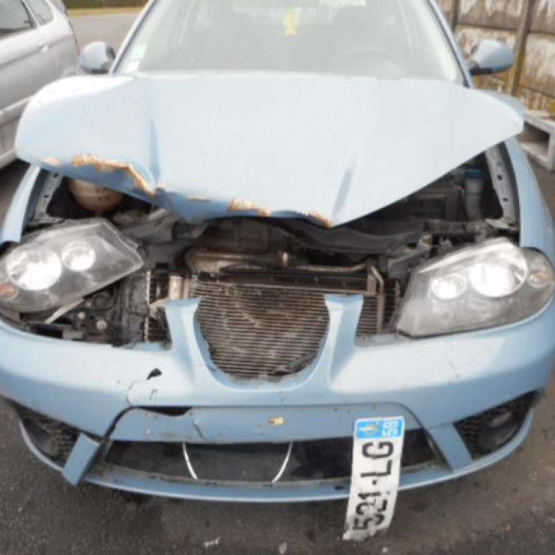 Retroviseur gauche SEAT IBIZA 3 Photo n°5