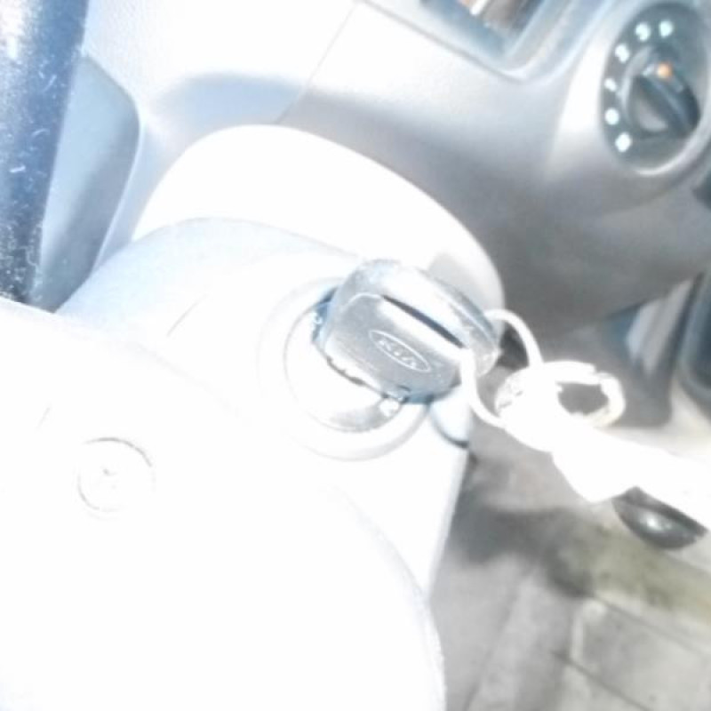 Porte arriere gauche KIA PICANTO 1 Photo n°13