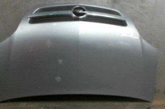Capot OPEL MERIVA A Photo n°1
