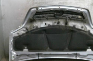 Capot OPEL MERIVA A