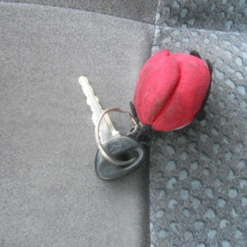 Retroviseur droit MAZDA PREMACY Photo n°12