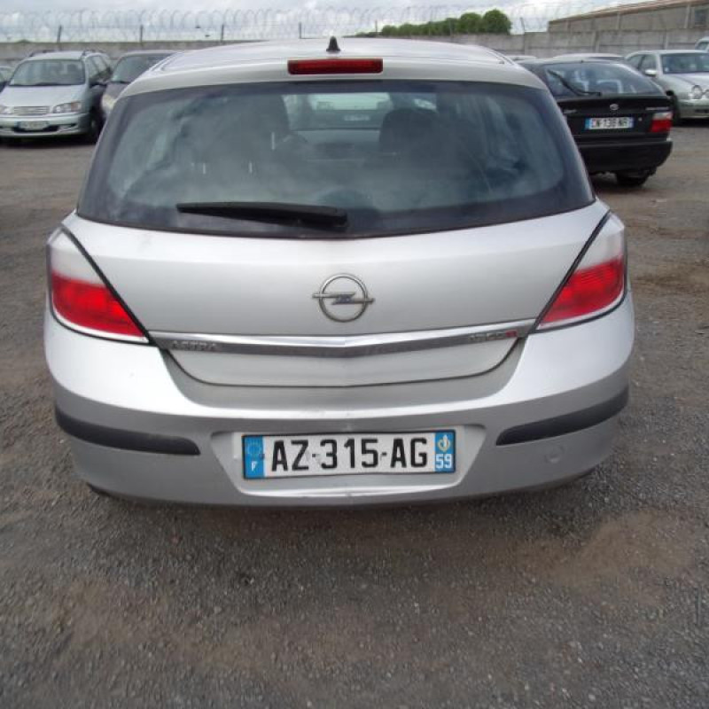 Porte arriere droit OPEL ASTRA H Photo n°6
