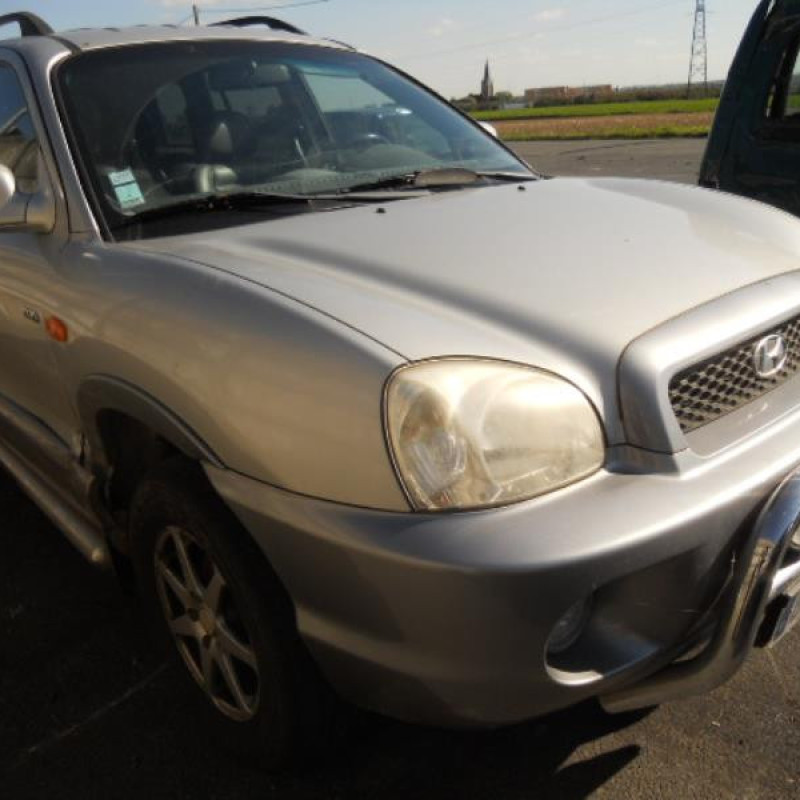 Malle/Hayon arriere HYUNDAI SANTA FE 1 Photo n°3