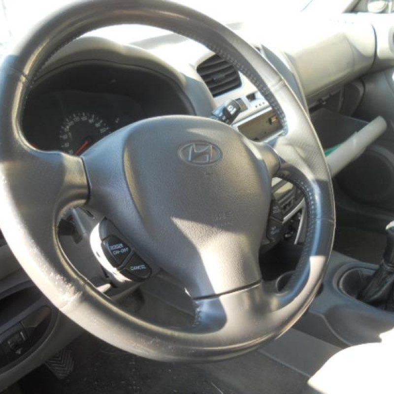 Malle/Hayon arriere HYUNDAI SANTA FE 1 Photo n°6