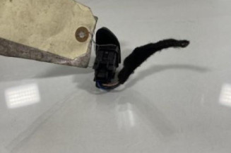 Bouton de warning RENAULT CLIO 4