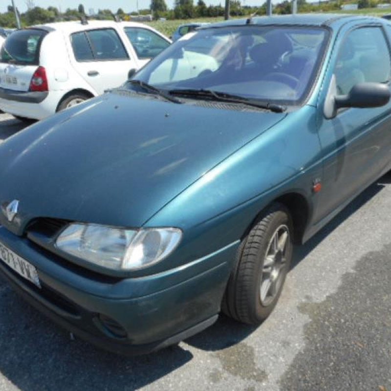 Malle/Hayon arriere RENAULT MEGANE 1 Photo n°4