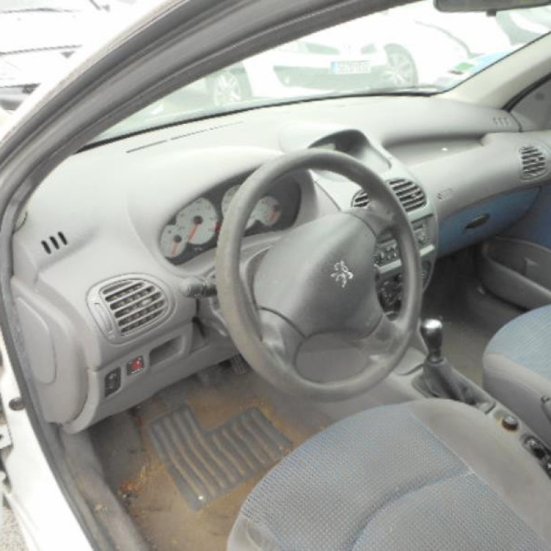 Porte arriere droit PEUGEOT 206 Photo n°8