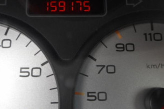Porte arriere droit PEUGEOT 206