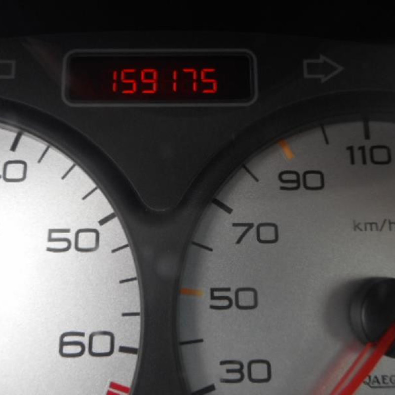 Porte arriere droit PEUGEOT 206 Photo n°10