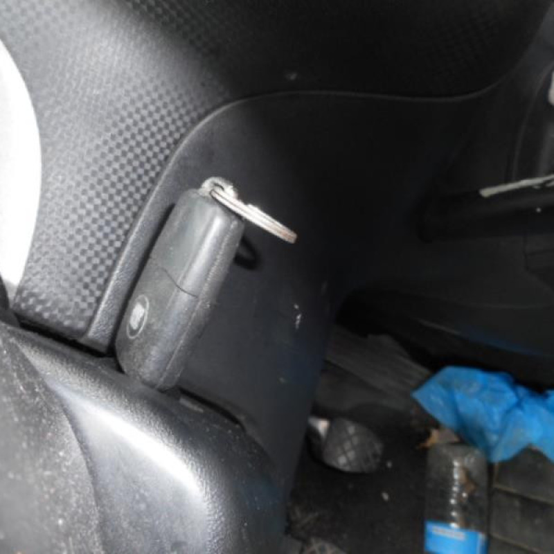 Porte arriere droit SEAT ALTEA Photo n°12