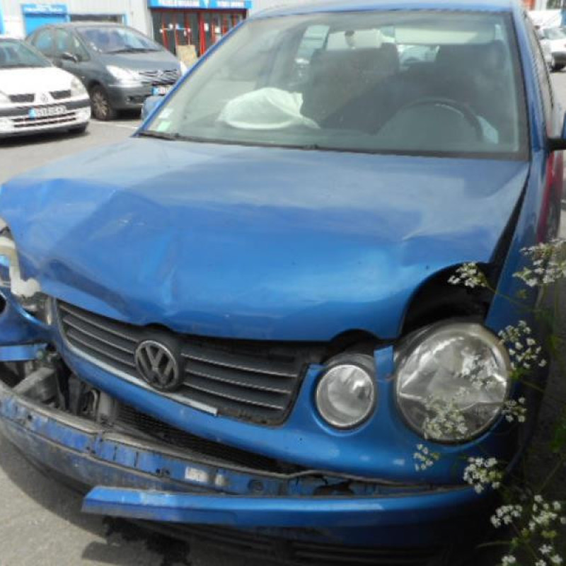 Porte arriere gauche VOLKSWAGEN POLO 4 Photo n°3