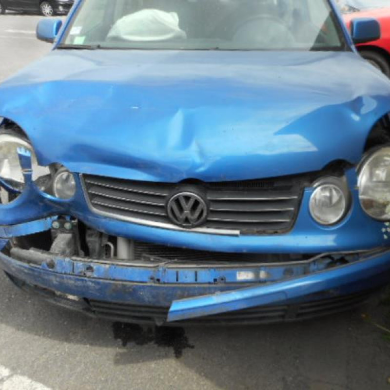 Porte arriere gauche VOLKSWAGEN POLO 4 Photo n°4