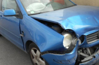 Porte arriere gauche VOLKSWAGEN POLO 4