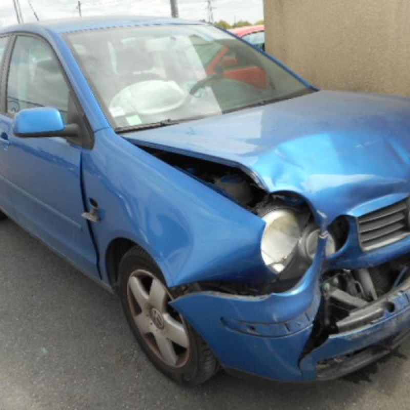 Porte arriere gauche VOLKSWAGEN POLO 4 Photo n°5