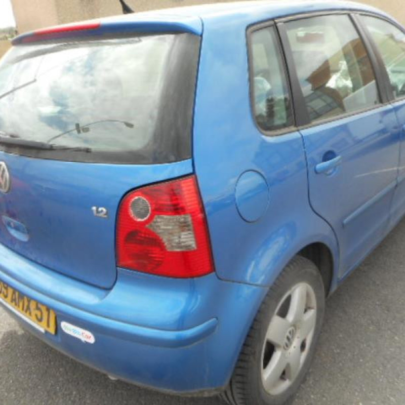 Porte arriere gauche VOLKSWAGEN POLO 4 Photo n°6