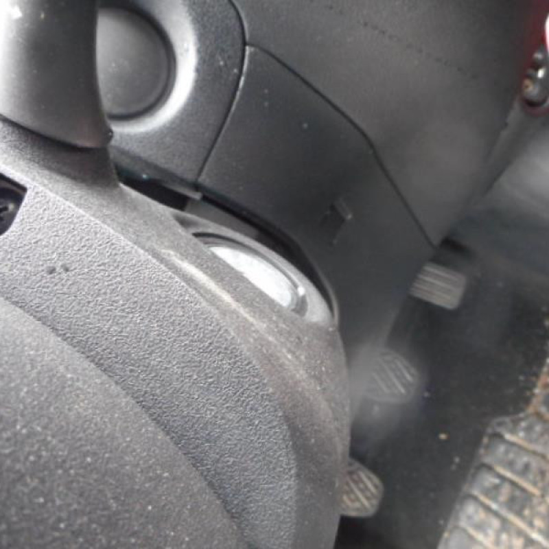 Poignee interieur avant gauche NISSAN JUKE 1 Photo n°10
