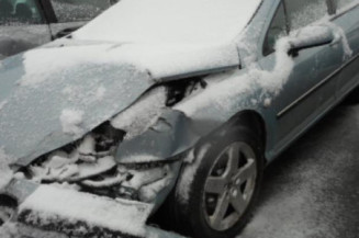 Porte arriere droit PEUGEOT 407
