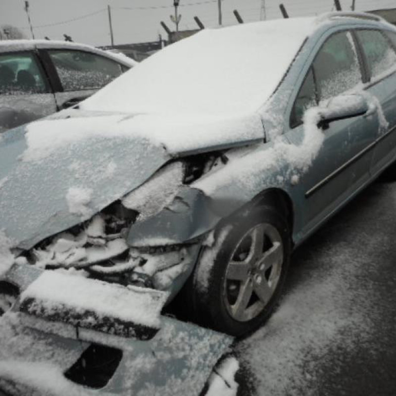 Porte arriere droit PEUGEOT 407 Photo n°3