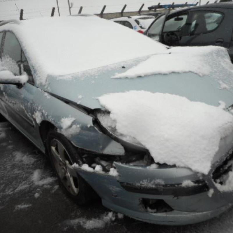 Porte arriere droit PEUGEOT 407 Photo n°4