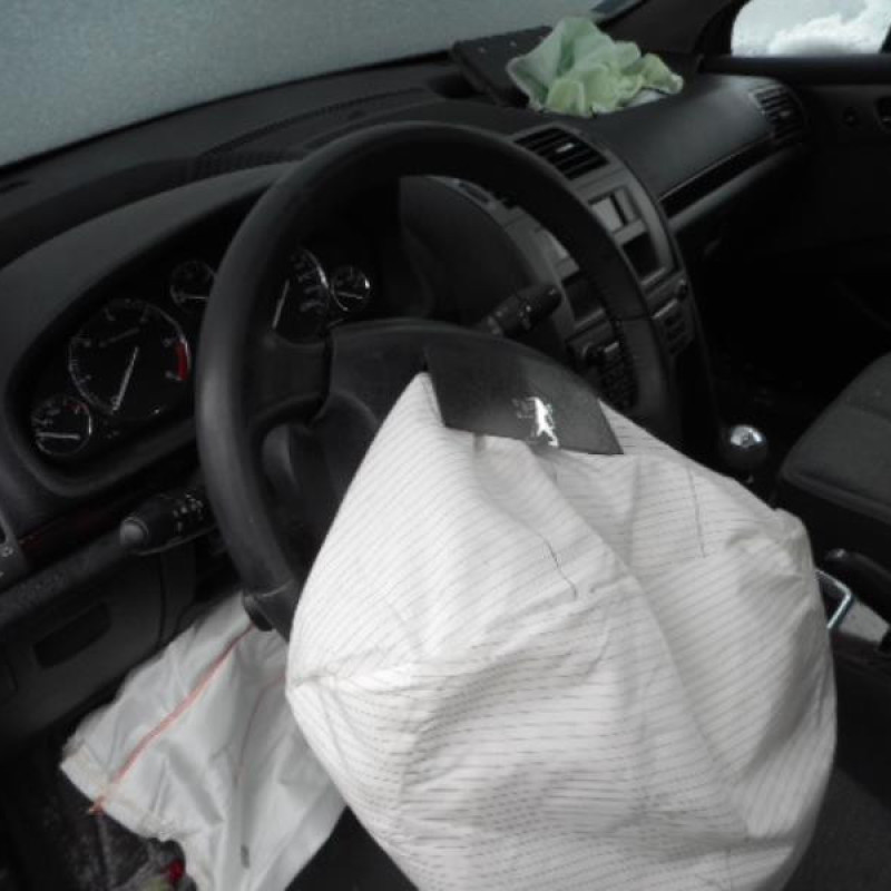 Porte arriere droit PEUGEOT 407 Photo n°7