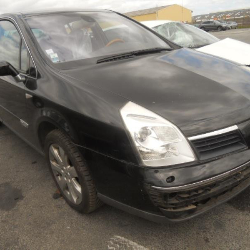 Porte arriere gauche RENAULT VEL SATIS Photo n°5