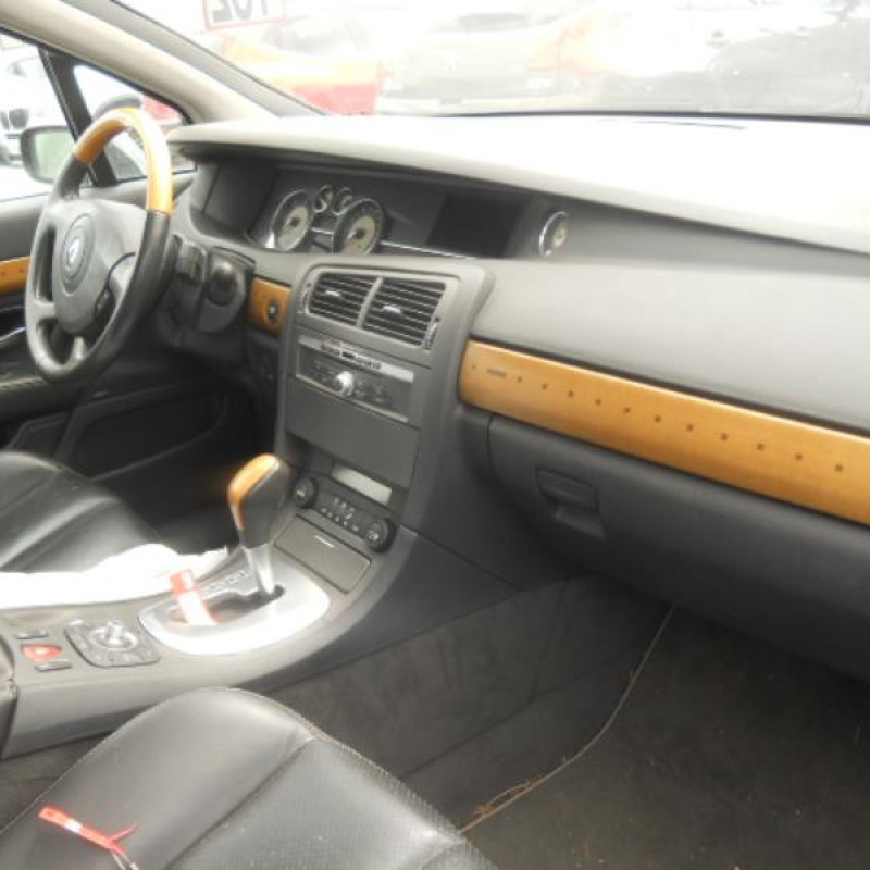 Porte arriere gauche RENAULT VEL SATIS Photo n°8