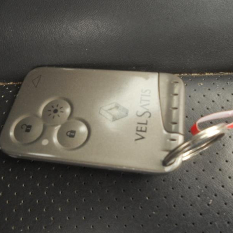 Porte arriere gauche RENAULT VEL SATIS Photo n°11