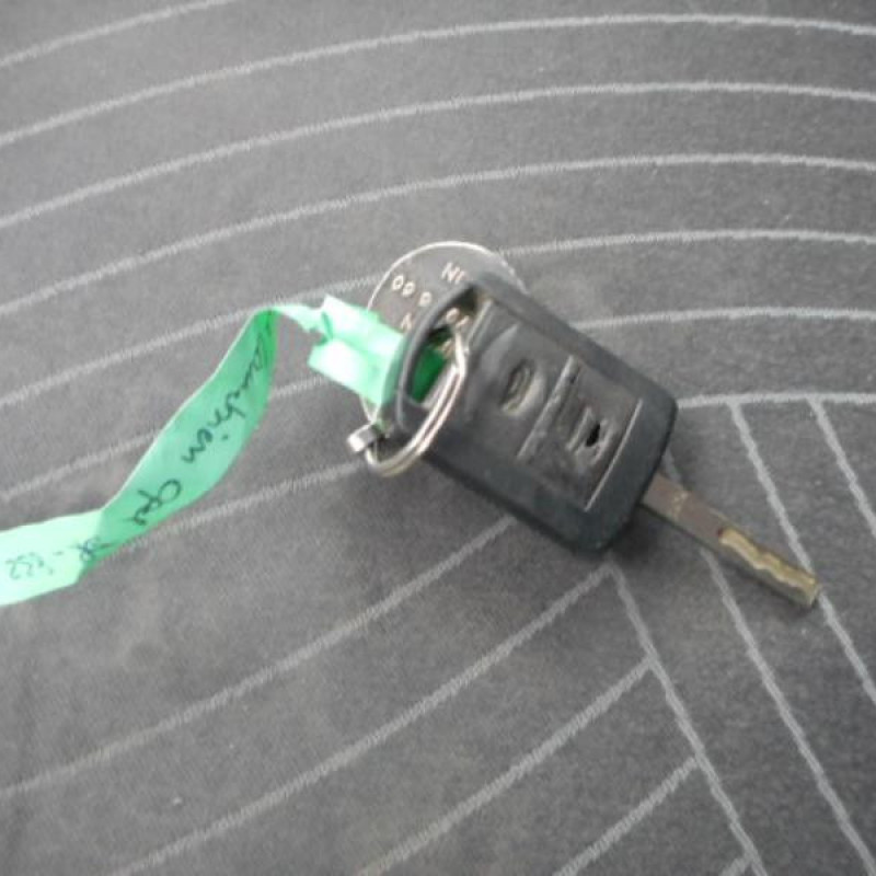 Porte avant droit OPEL MERIVA A Photo n°10
