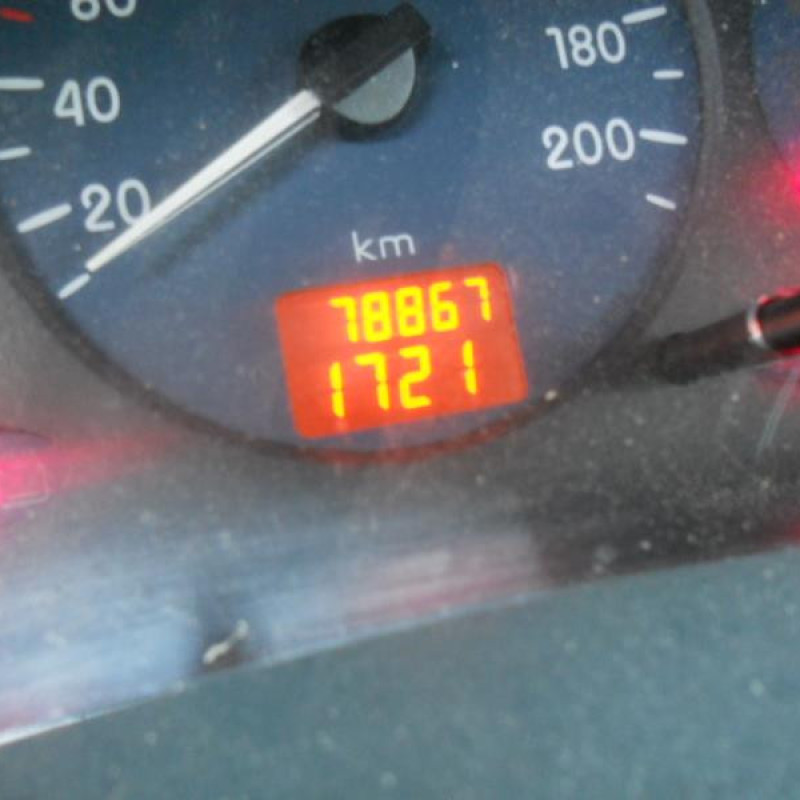 Porte de coffre droit RENAULT KANGOO 1 Photo n°11