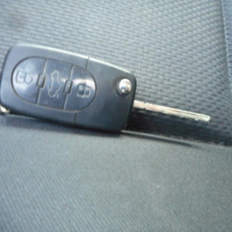 Porte avant droit AUDI A4 2 Photo n°11