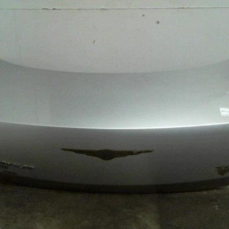 Malle/Hayon arriere CHRYSLER 300C Photo n°1